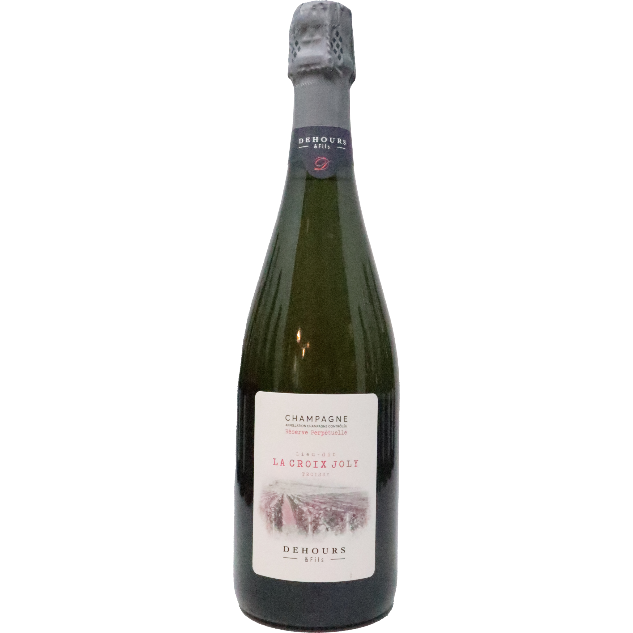 NV Dehours Lieu Dit "La Croix Joly" Prepetual Reserve Extra-Brut , Champagne, France