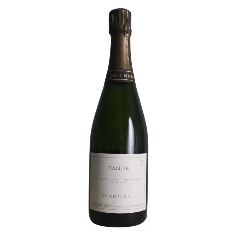 NV Domaine Les Monts Fournois "Grande Valle Mareuil/Ay Grand Cru", Brut, Champagne, France