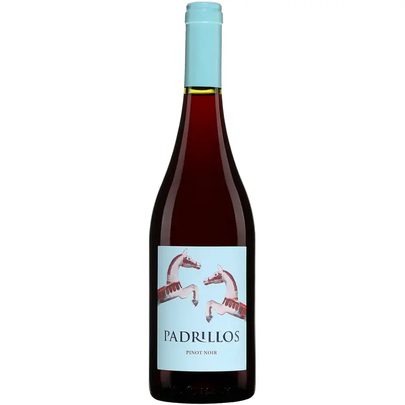 2022 Ernesto Catena "Finca de los Padrillos" Pinot Noir, Mendoza, Argentina