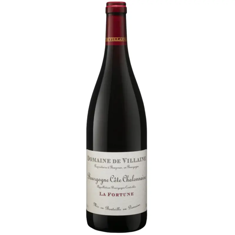 2023 Domaine  A et  P de Villaine Bourgogne Rouge "La Fortune", Burgundy, France