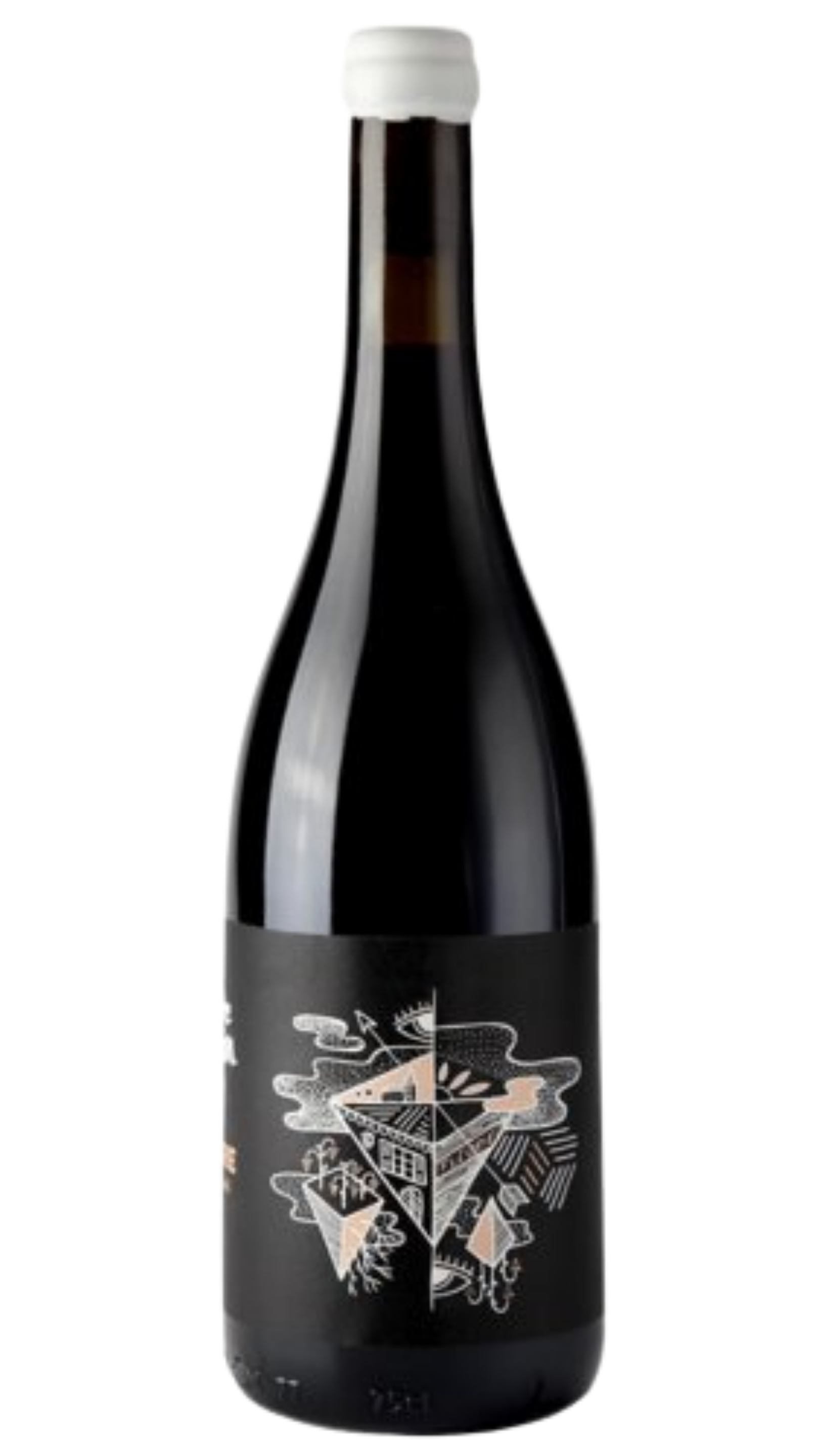 2023 Domaine Bonnet-Cotton Fleurie "Ponci", Beaujolais, France