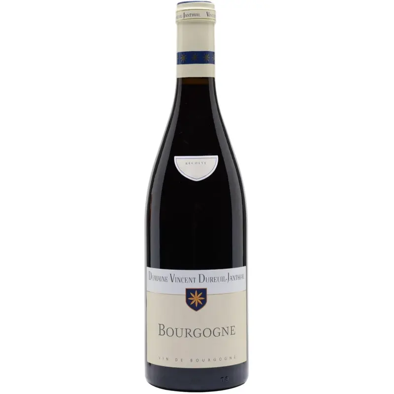 2022 Domaine Vincent Dureuil-Janthial Bourgogne Rouge, Burgundy, France