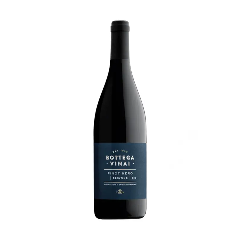 Bottega Vinai Pinot Nero 2020