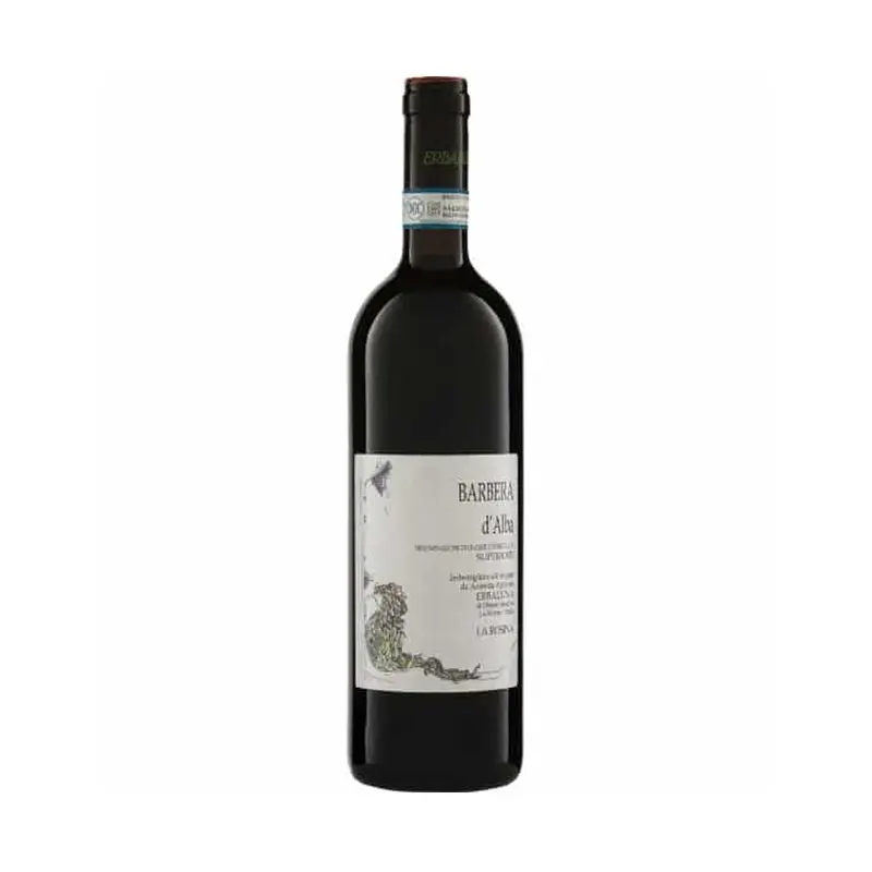 La Rosina Barbera d'Alba 2020
