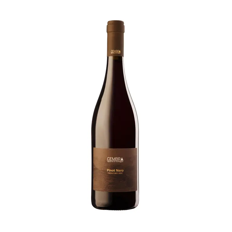 Cembra Pinot Nero Trentino 2024