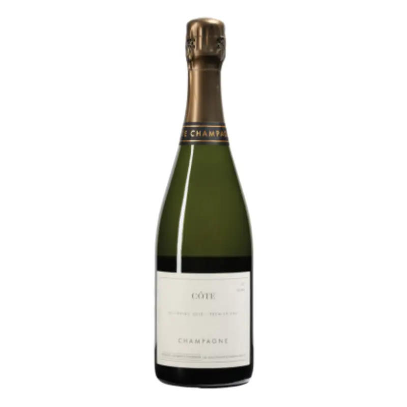 2010 Domaine Les Monts Fournois "Cte Vertus Premier Cru", Brut, Champagne, France