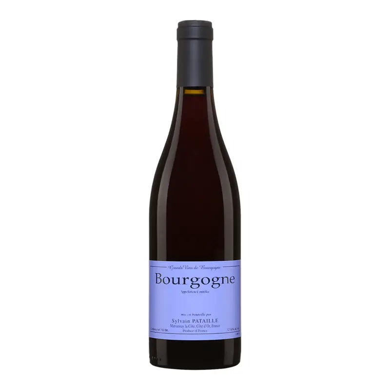2022 Sylvain Pataille Bourgogne Rouge, Burgundy, France