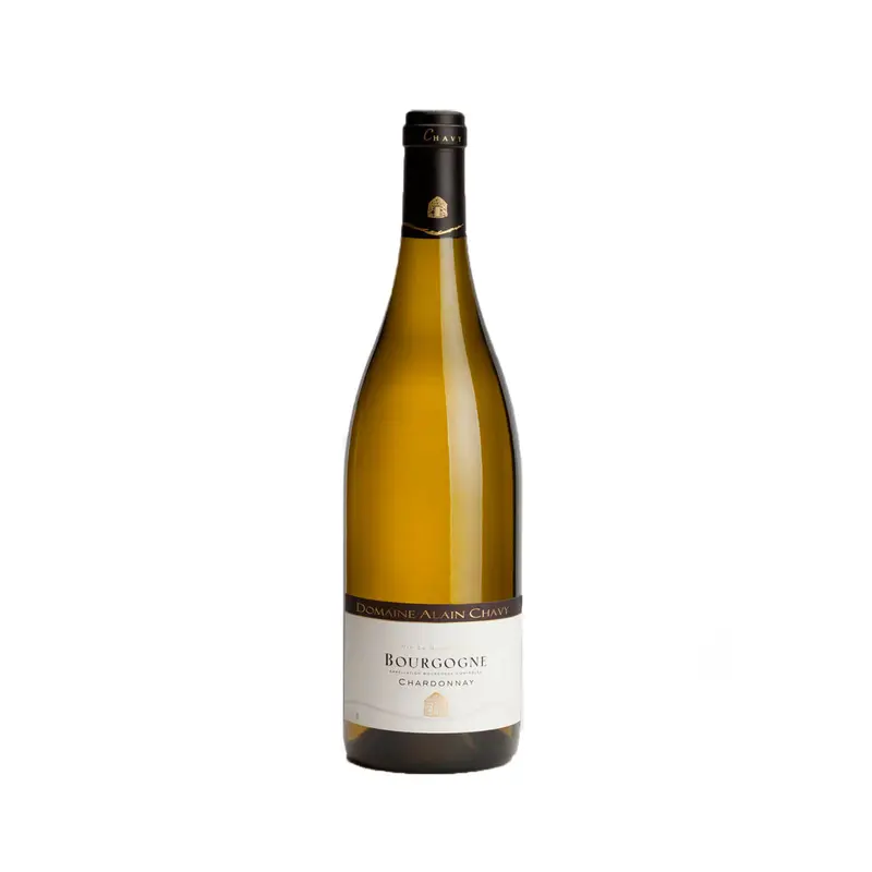 Domaine Alain Chavy Bourgogne Chardonnay 2022