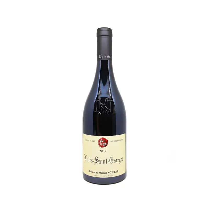 Domaine Michel Noellat Nuits Saint Georges 2019