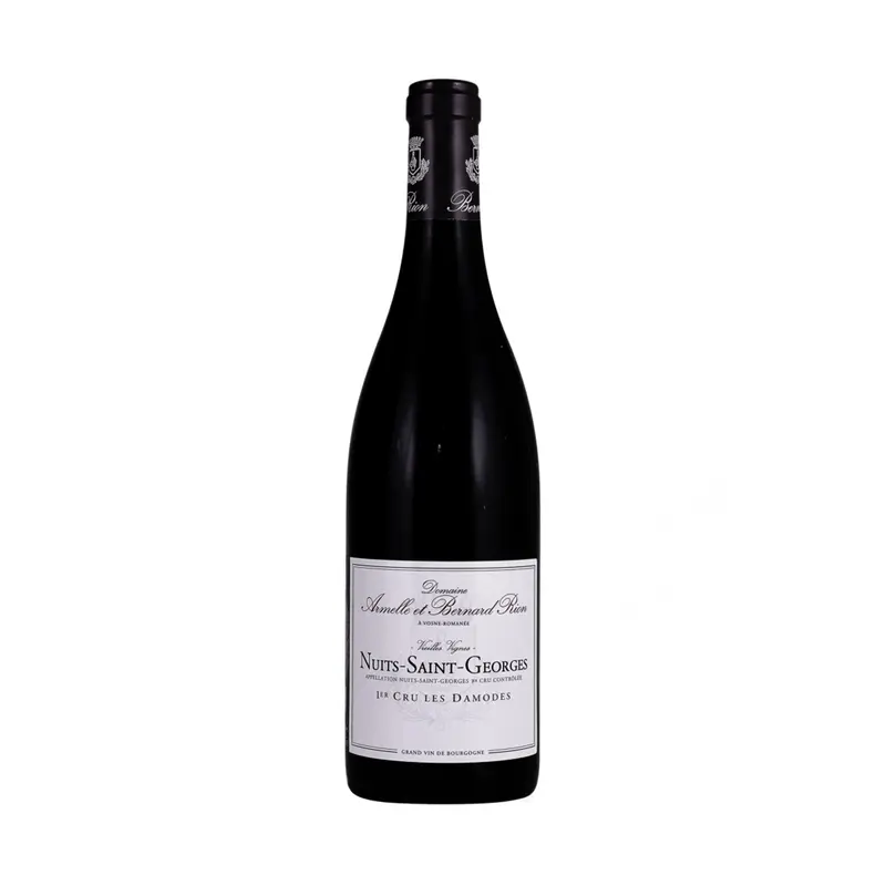 Domaine Armelle et Bernard Rion Nuits Saint Georges Premier Cru 'Les Damodes' 2018