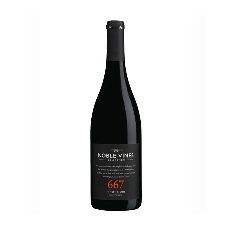 667 Pinot Noir 2022