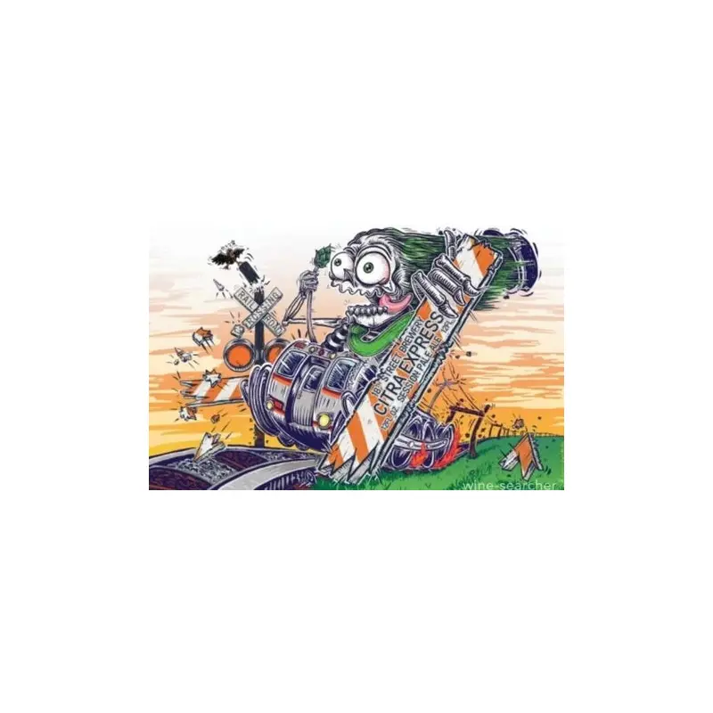 18th Street Citra Express 6Pk