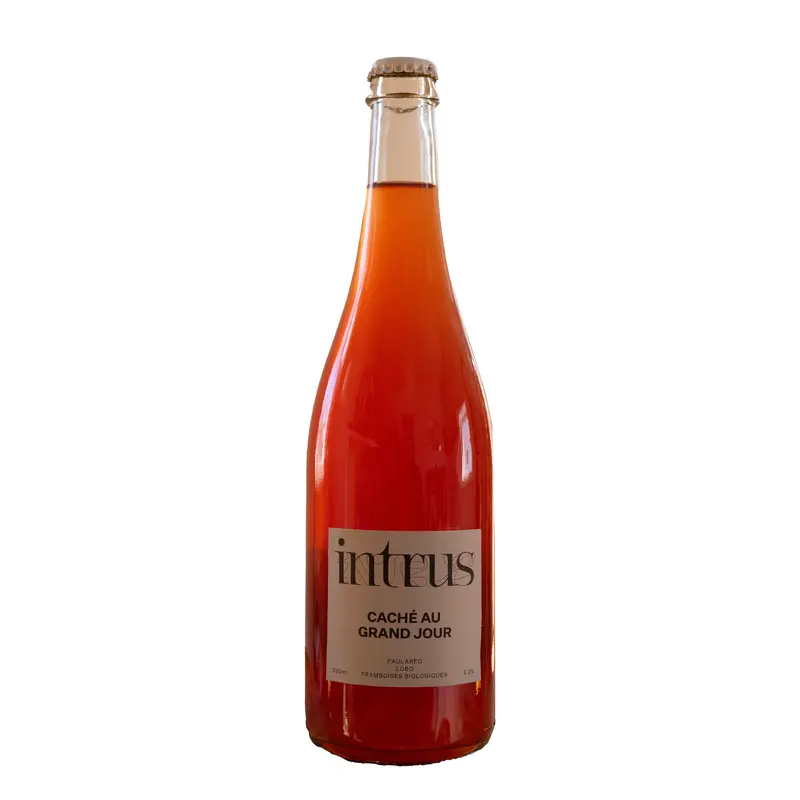 Intrus Cider Cache au Grand Jour 750ml Bottle