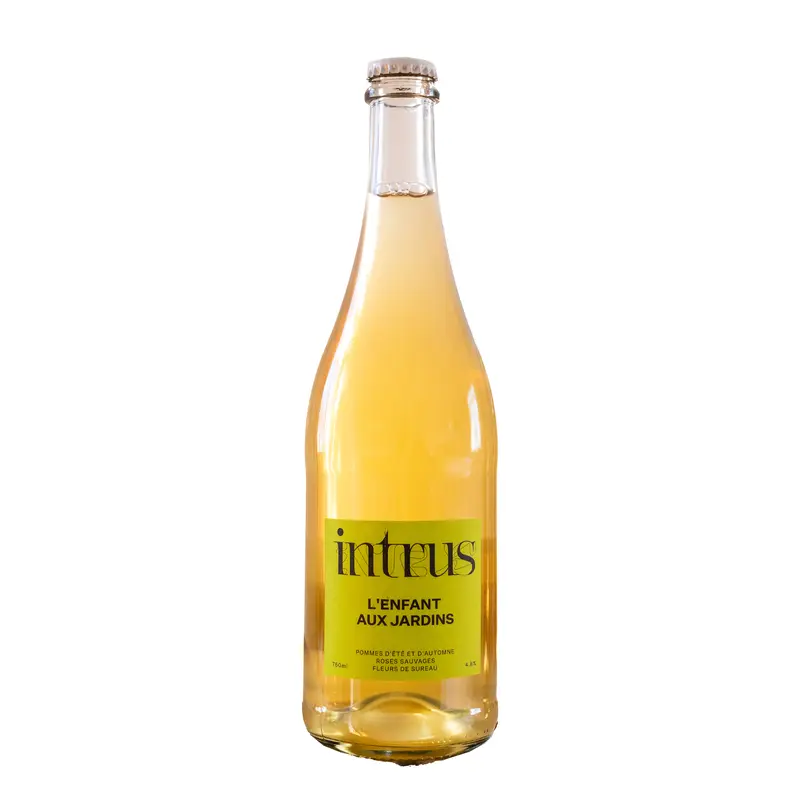 Intrus Cider L'enfant aux Jardins 750ml Bottle