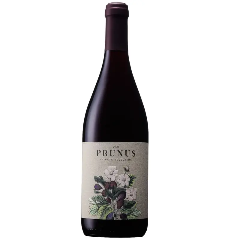 2022 Gota Wines "Prunus Tinto", Do, Portugal